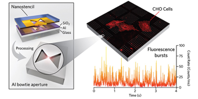 Advanced photonic antennas for cellular nano-imaging and spectroscopy